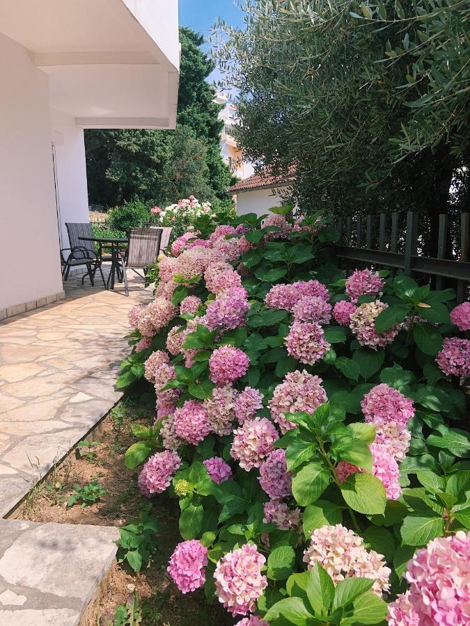Apartments Hollaj Ulcinj Exteriér fotografie